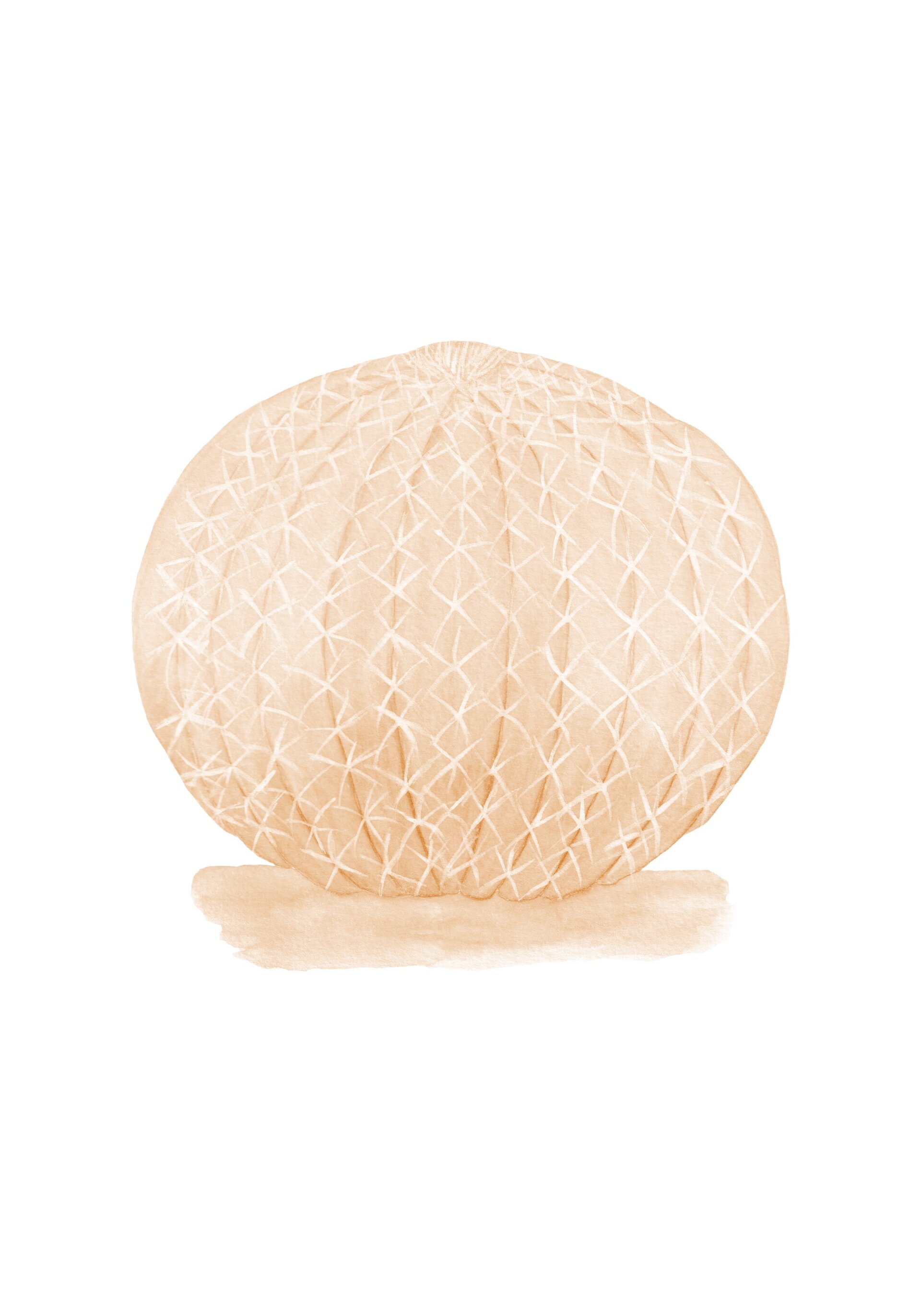 LÁMINA CACTUS ACUARELA COLOR BEIGE - 10