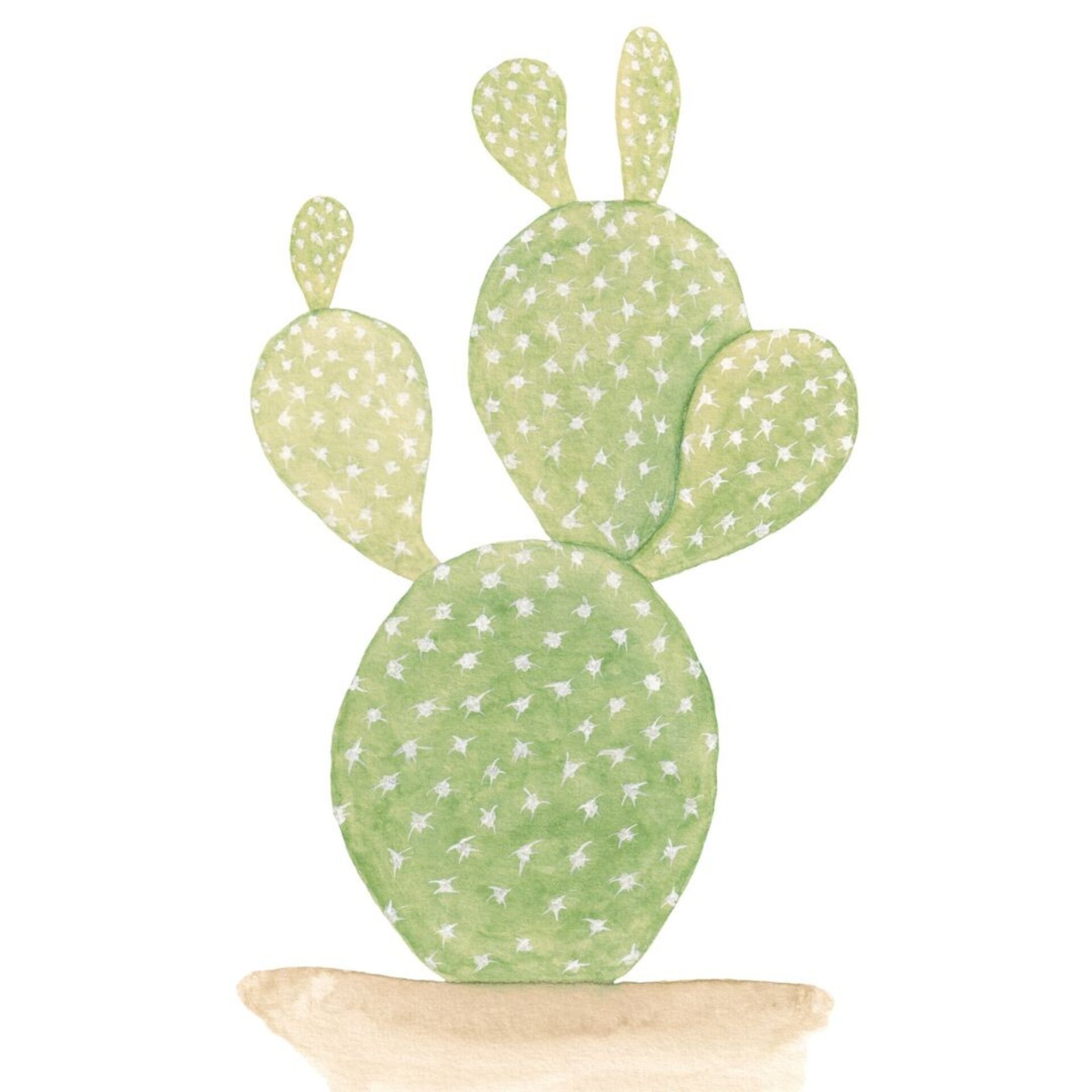 LÁMINA BOTÁNICA CACTUS ACUARELA - 4