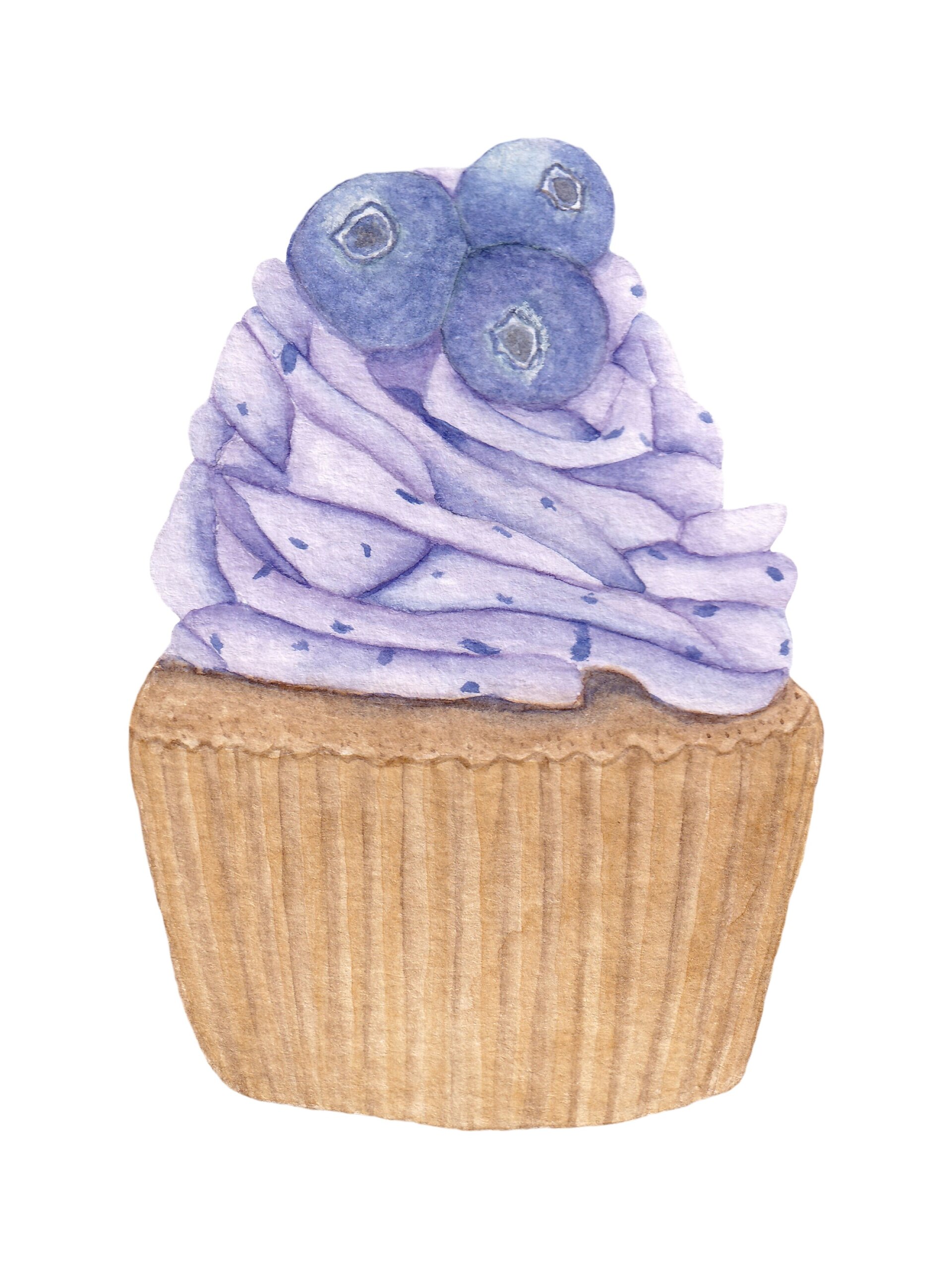 Lámina Acuarela de Cupcake de Arándanos - 10