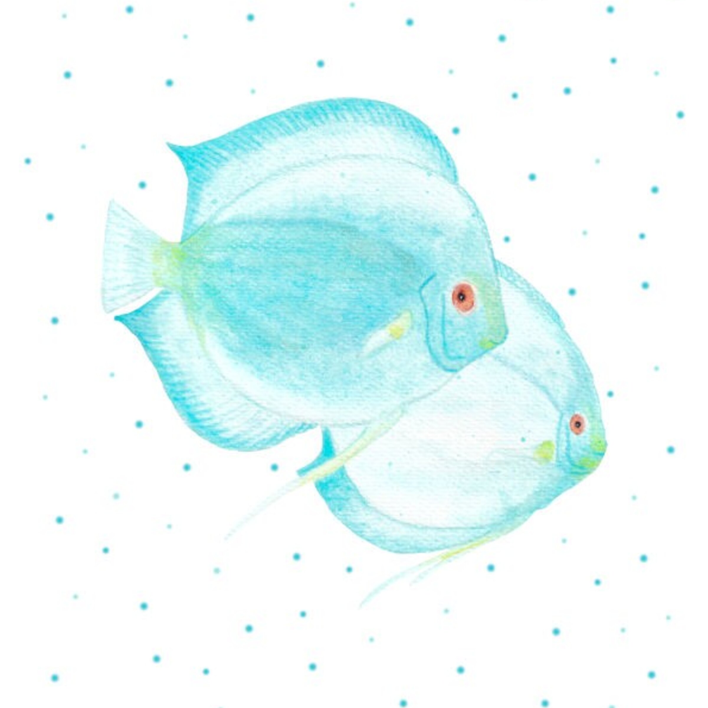 Láminas artísticas de animales marinos