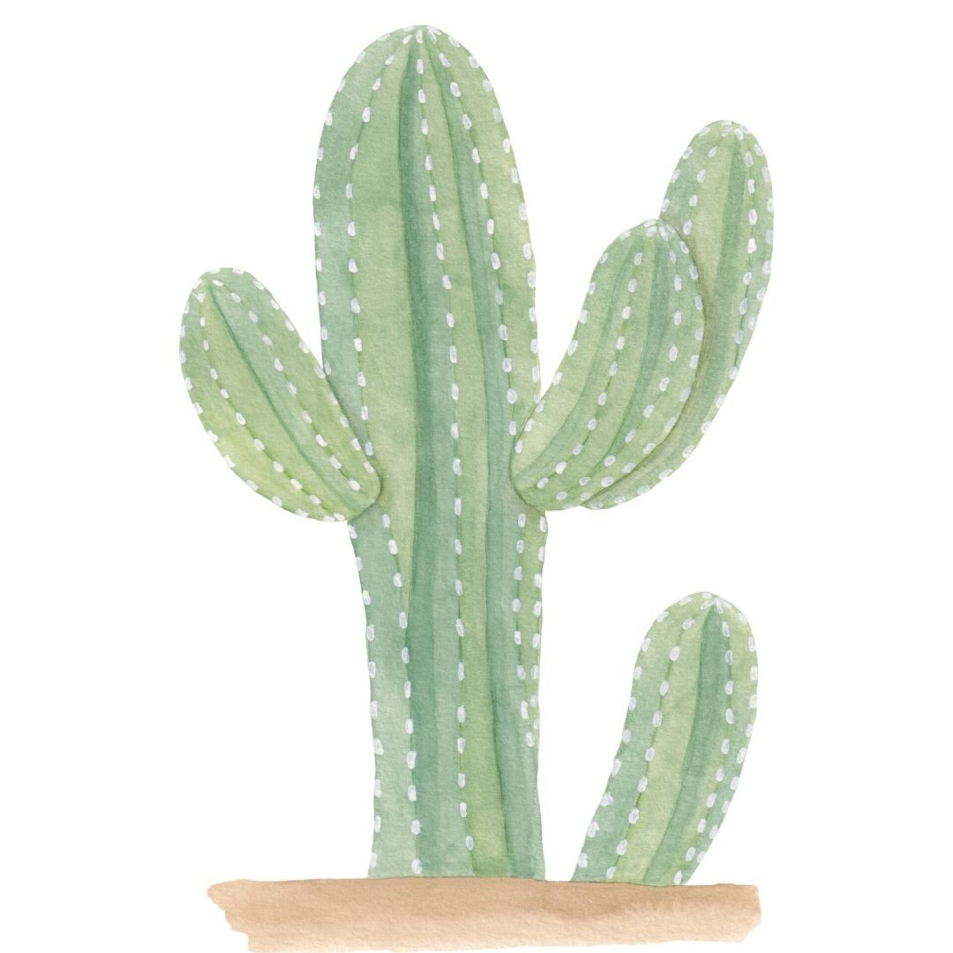 LÁMINA CACTUS ACUARELA - 9